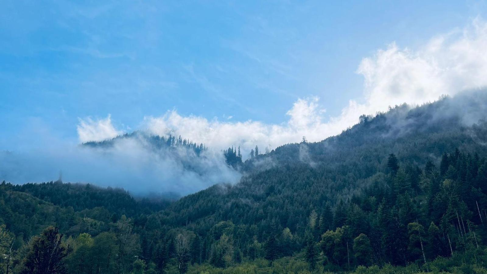 Vyas Vatika Otel Manāli Dış mekan fotoğraf