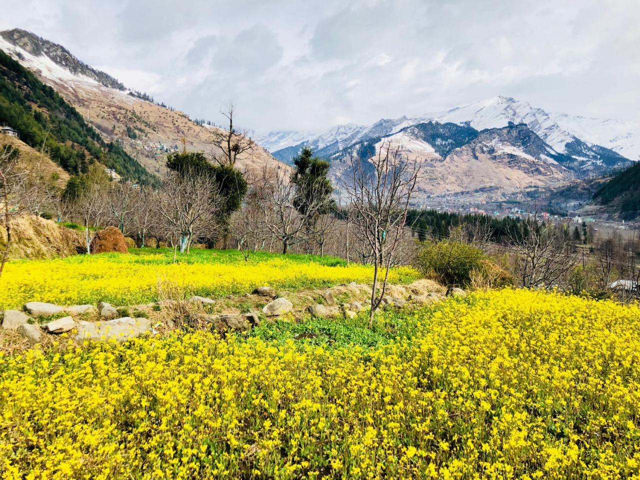 Vyas Vatika Otel Manāli Dış mekan fotoğraf